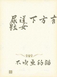 尿道下方有小肉粒女