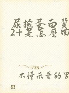 尿检蛋白质阳性2+是怎么回事