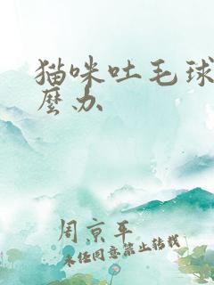 猫咪吐毛球了怎么办