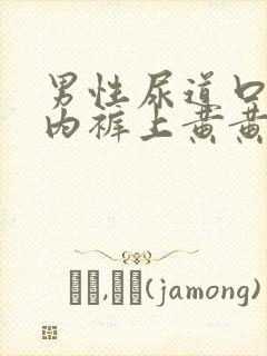 男性尿道口流脓内裤上黄黄的吃什么药