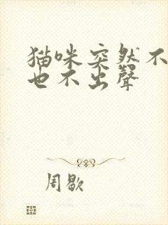 猫咪突然不叫唤也不出声