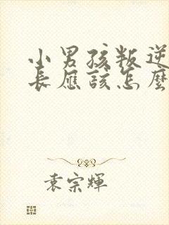 小男孩叛逆期家长应该怎么办