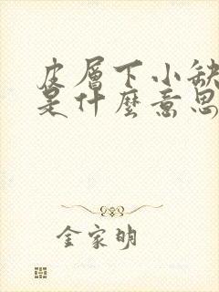 皮层下小缺血灶是什么意思