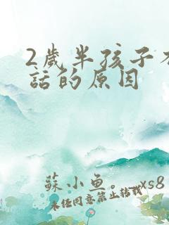 2岁半孩子不说话的原因