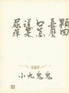 尿道口长颗粒又痒是怎么回事