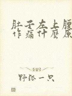 肚子左上腹隐隐作痛什么原因女性