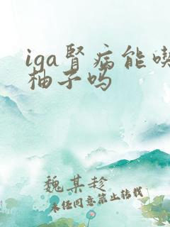 iga肾病能吃柚子吗