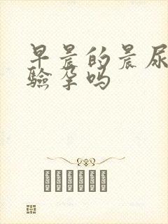 早晨的晨尿可以验孕吗