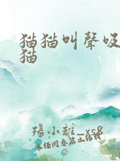 猫猫叫声吸引猫猫