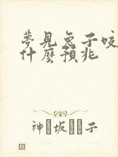 梦见兔子咬手是什么预兆