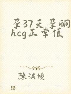 孕37天孕酮及hcg正常值