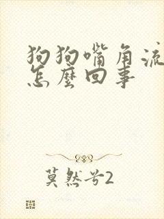 狗狗嘴角流粘液怎么回事