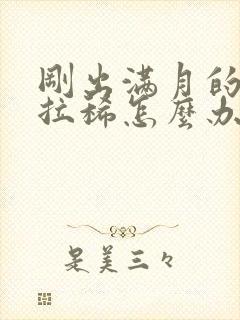 刚出满月的小狗拉稀怎么办