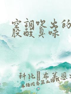 空调吹出的风有股酸臭味