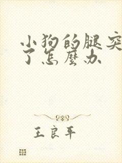 小狗的腿突然瘸了怎么办