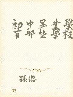 初中毕业学空乘有哪些学校