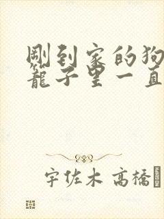 刚到家的狗狗在笼子里一直叫怎么办