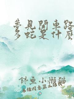 梦见开车路上好多蛇是什么预兆