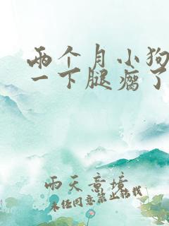 两个月小狗摔了一下腿瘸了