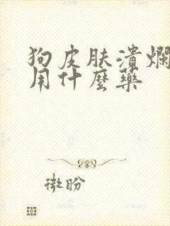 狗皮肤溃烂掉毛用什么药