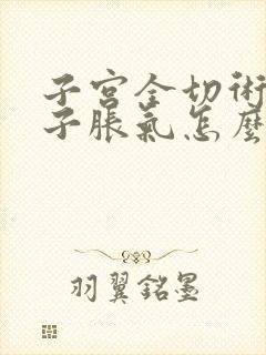 子宫全切术后肚子胀气怎么回事