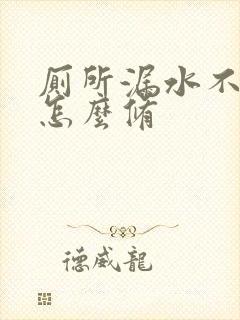 厕所漏水不砸砖怎么修