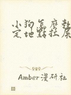 小狗怎么教它固定地点拉屎拉尿