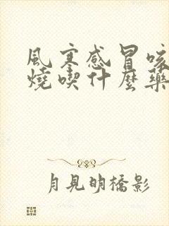 风寒感冒咳嗽发烧吃什么药