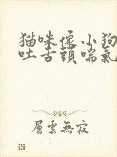 猫咪像小狗一样吐舌头喘气