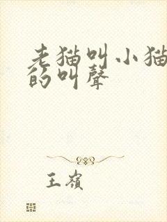 老猫叫小猫出来的叫声