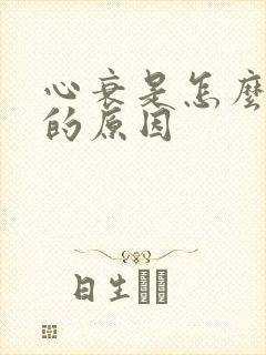 心衰是怎么造成的原因