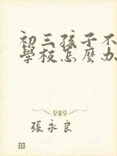 初三孩子不愿去学校怎么办