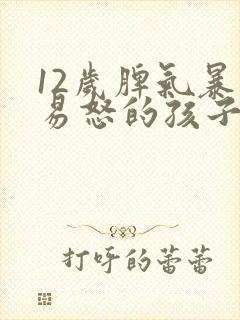 12岁脾气暴躁易怒的孩子