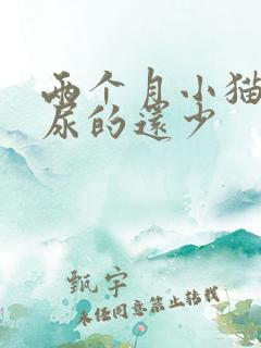 两个月小猫尿频尿的还少