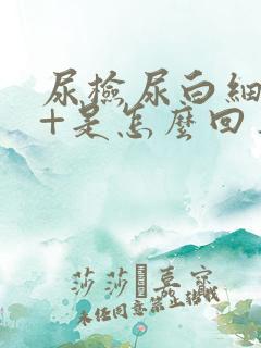 尿检尿白细胞1+是怎么回事