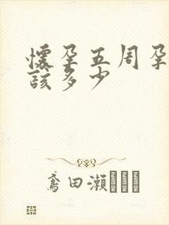 怀孕五周孕酮应该多少