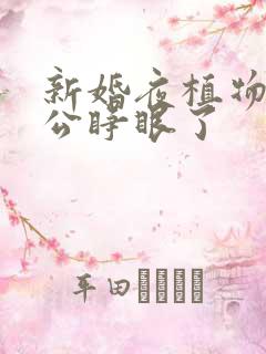 新婚夜植物人老公睁眼了