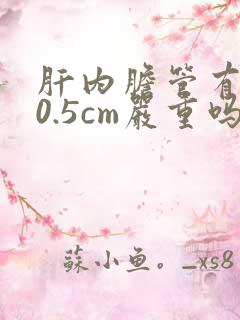 肝内胆管有结石0.5cm严重吗