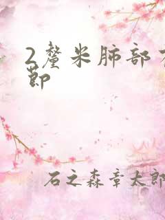 2厘米肺部有结节