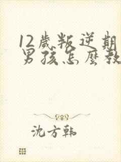 12岁叛逆期的男孩怎么教育