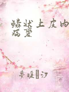 鳞状上皮内高级病变