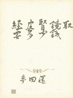 经皮肾镜取石术要多少钱