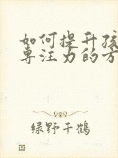 如何提升孩子的专注力的方法