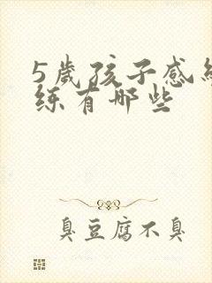 5岁孩子感统训练有哪些