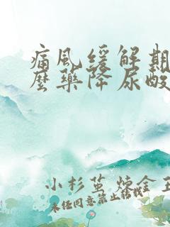 痛风缓解期吃什么药降尿酸