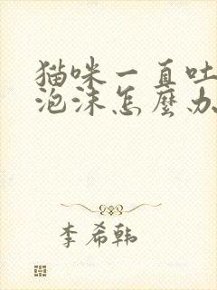 猫咪一直吐白色泡沫怎么办