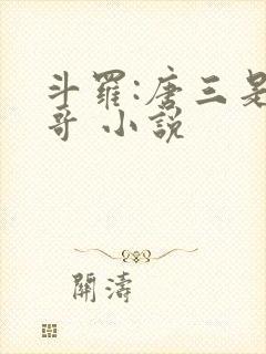 斗罗:唐三是我哥 小说