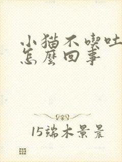 小猫不吃吐黄水怎么回事