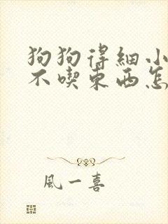 狗狗得细小好转不吃东西怎么办