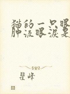 猫的一只眼睛红肿流眼泪是怎么回事